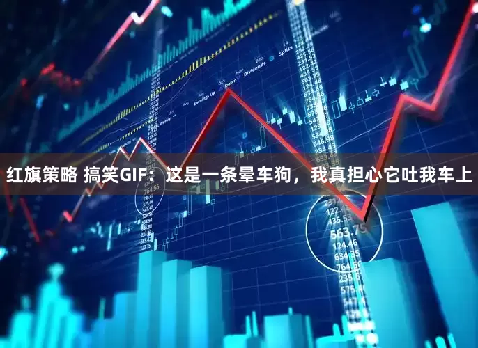 红旗策略 搞笑GIF：这是一条晕车狗，我真担心它吐我车上